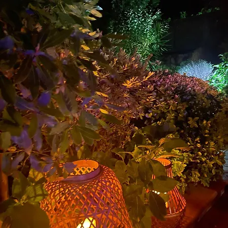 Aurora Parada de Gatim