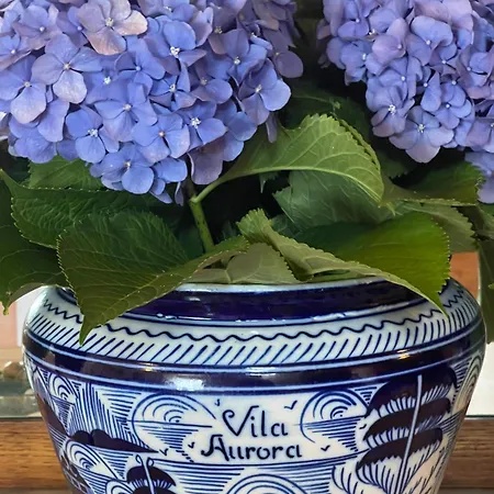 Aurora * Parada de Gatim