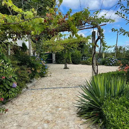 Dom wakacyjny Aurora