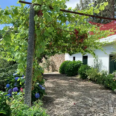 Aurora Dom wakacyjny *