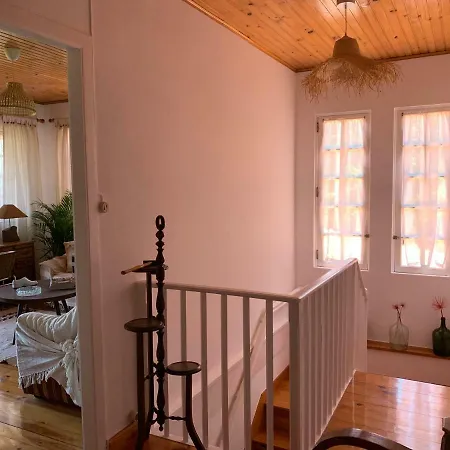 Aurora Parada de Gatim