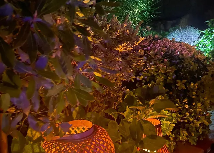 Aurora Parada de Gatim