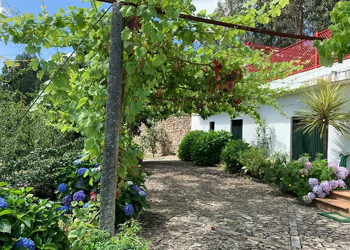 Aurora Dom wakacyjny *